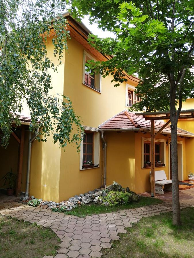 Bed and Breakfast Karpatia Panzio Ostrzyhom Zewnętrze zdjęcie